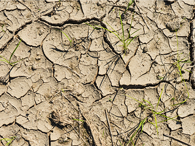 世界環境日 污水處理與土壤污染防治